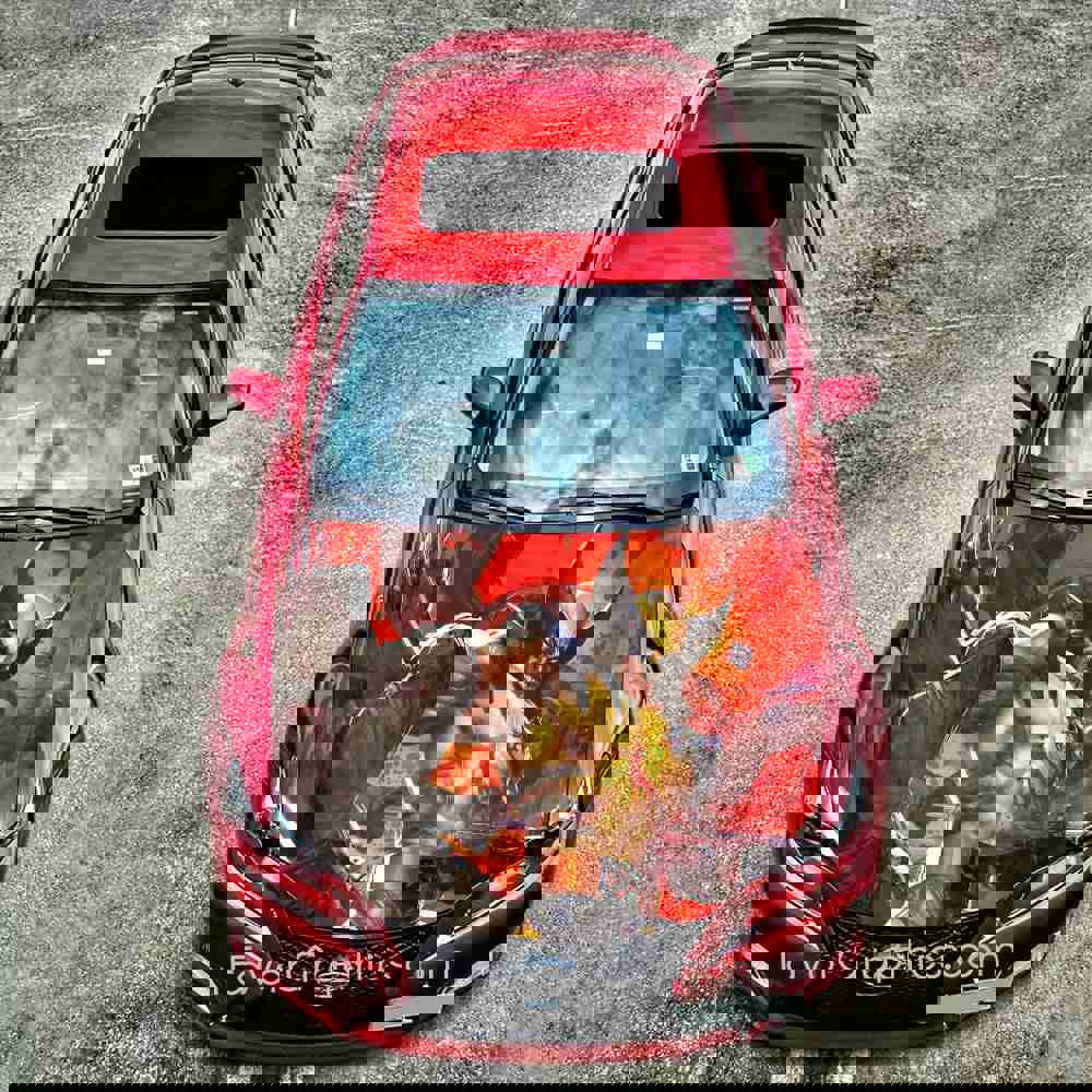 Wolverine Itasha Car Vinyl Hood Wrap Decal Sticker