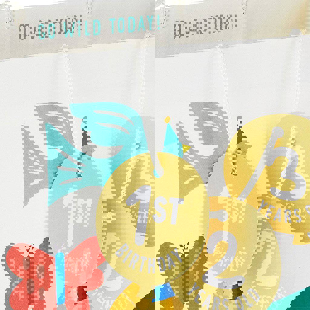 Hallmark 13 Zoo Animals Large Birthday Gift Bag