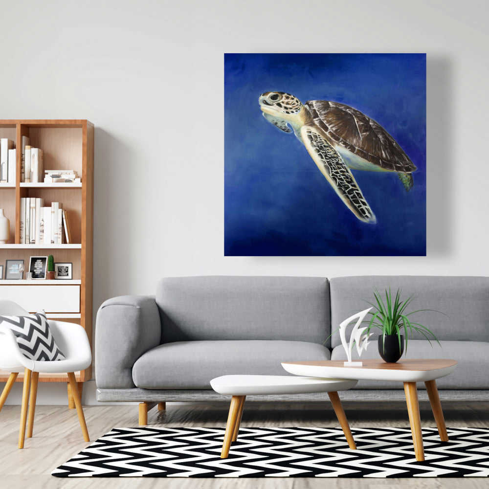 Beautiful Sea Turtle Fine Art Gallery Wrapped Canvas 36x36