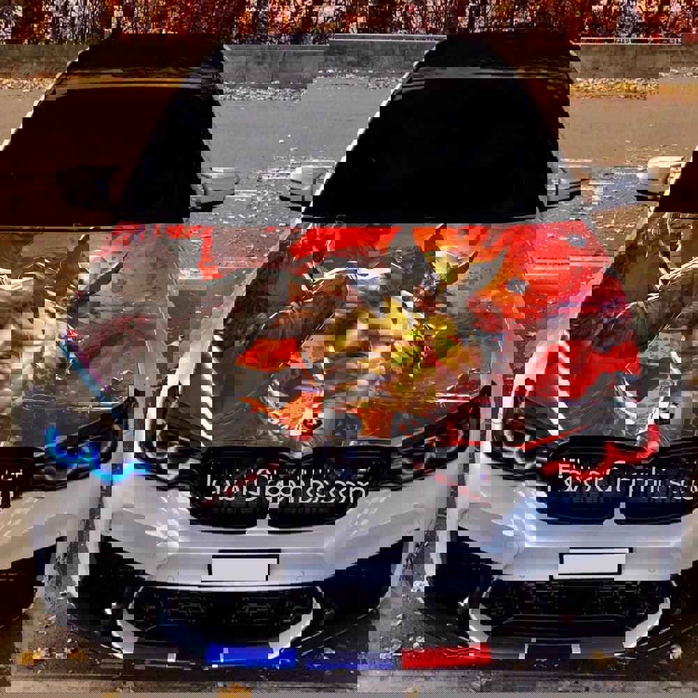 Wolverine Itasha Car Vinyl Hood Wrap Decal Sticker