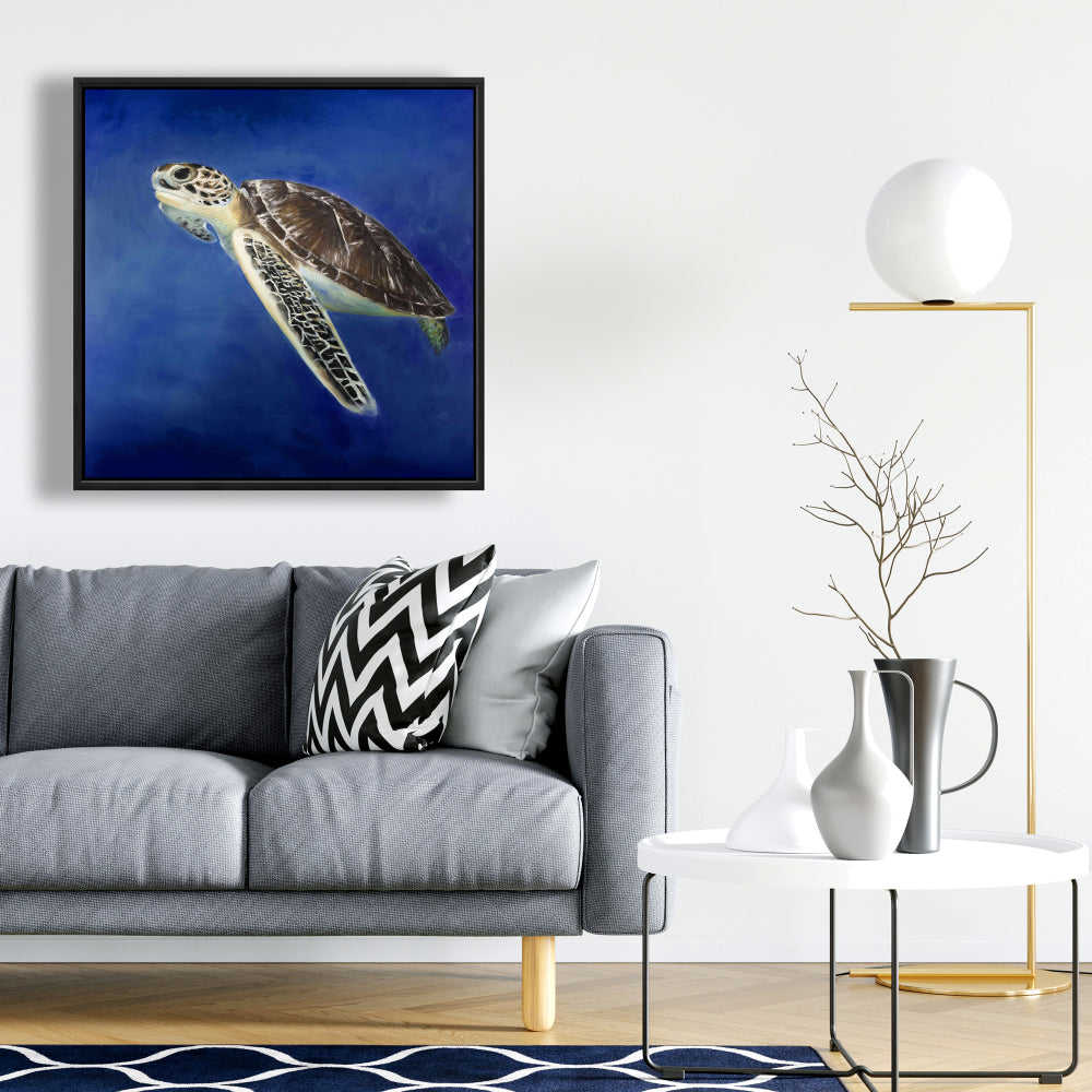 Beautiful Sea Turtle Fine Art Gallery Wrapped Canvas 36x36