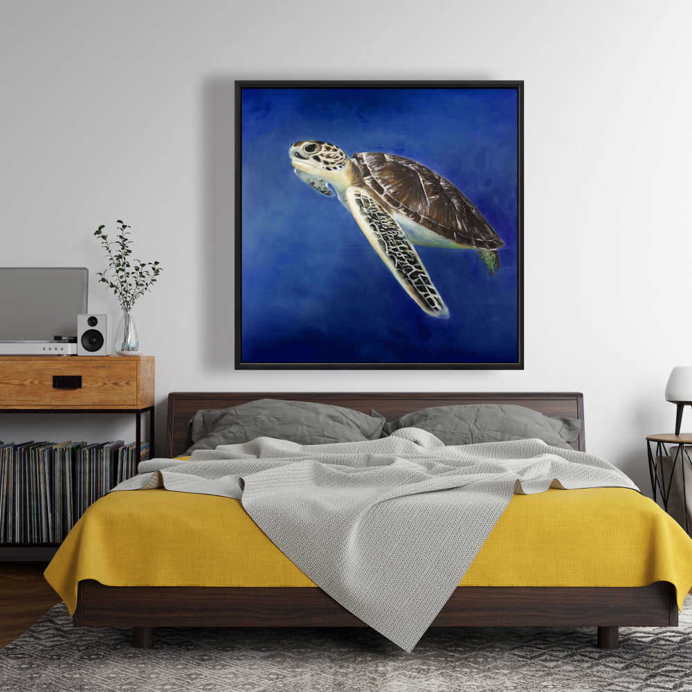 Beautiful Sea Turtle Fine Art Gallery Wrapped Canvas 36x36