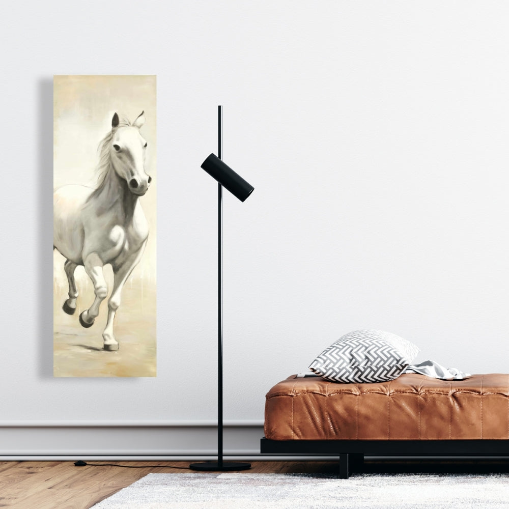 Gallant White Horse Fine Art Gallery Wrapped Canvas 16x48