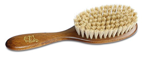 Mars Coat-King Bristle Cat Hair Brush Deshedding Tool – Premium Pet Grooming Brush for All Breeds