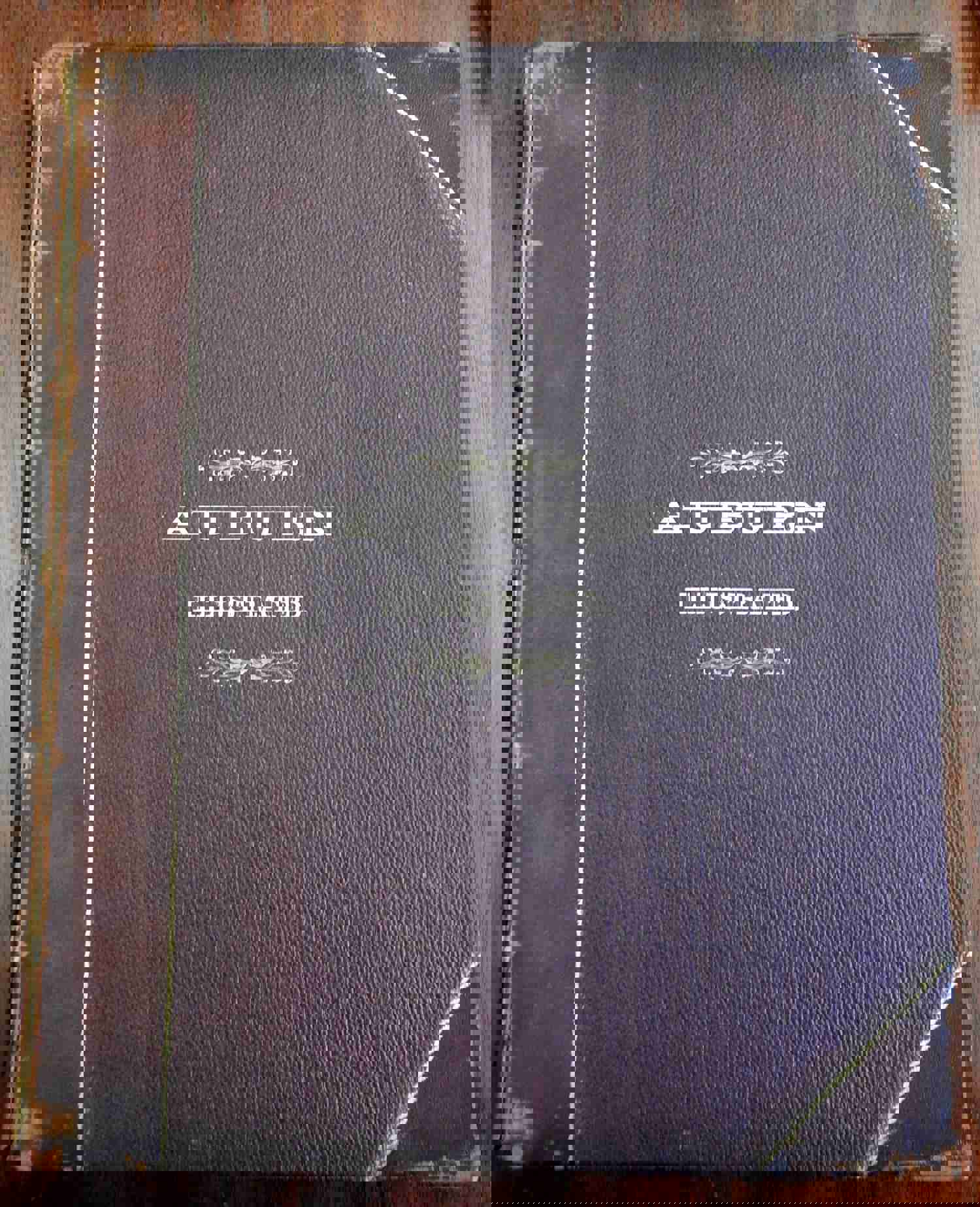 Cayuga County Auburn New York Finger Lakes 1890 Pictorial Rare Book