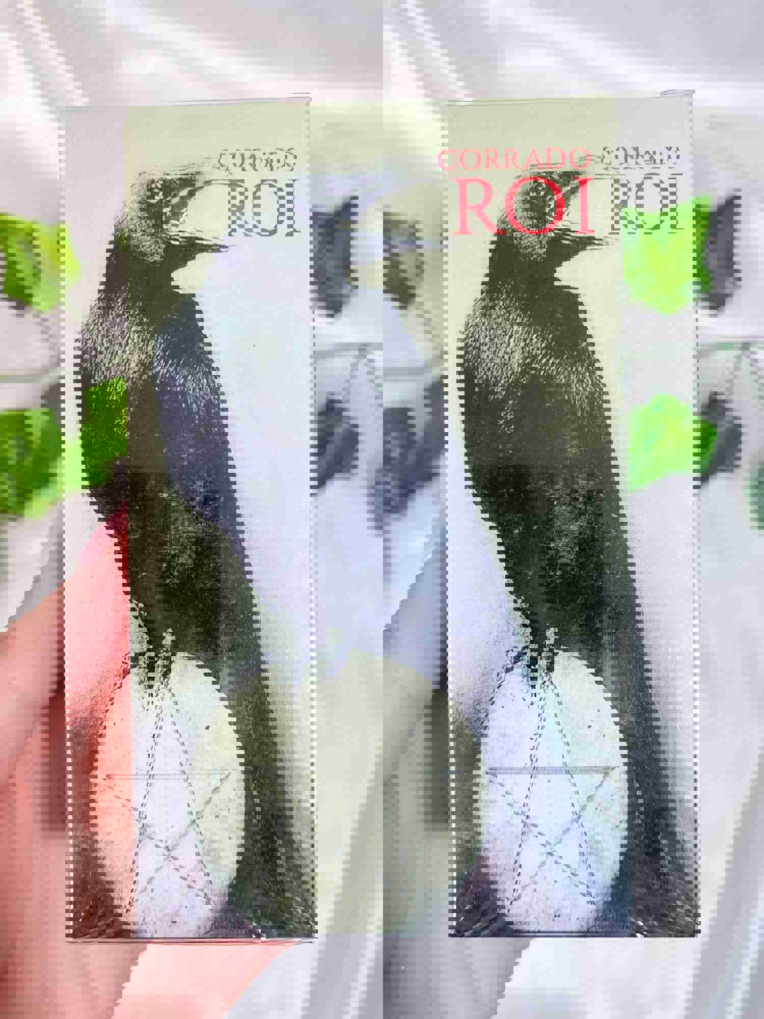 Corrado Roi Oracle Deck for Spiritual Insight and Self-Reflection