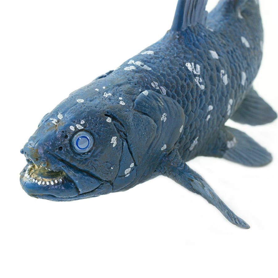 Coelacanth Toy - Ancient Marine Fish Plush