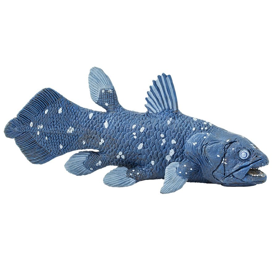 Coelacanth Toy - Ancient Marine Fish Plush