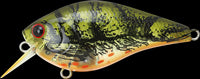 Lucky Craft LC 1.5 High-Quality Plastic Square Bill Crank Bait