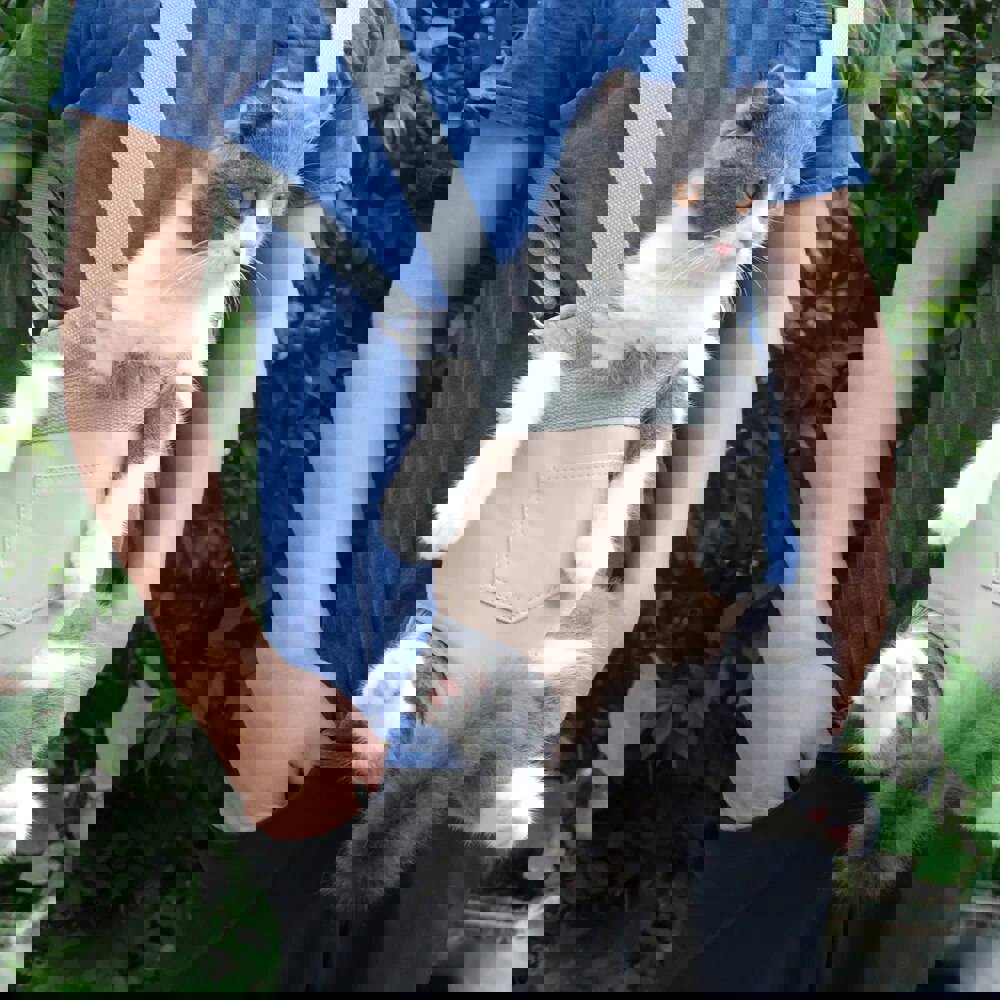 Adjustable Pet Carrier Backpack for Cats and Small Pets