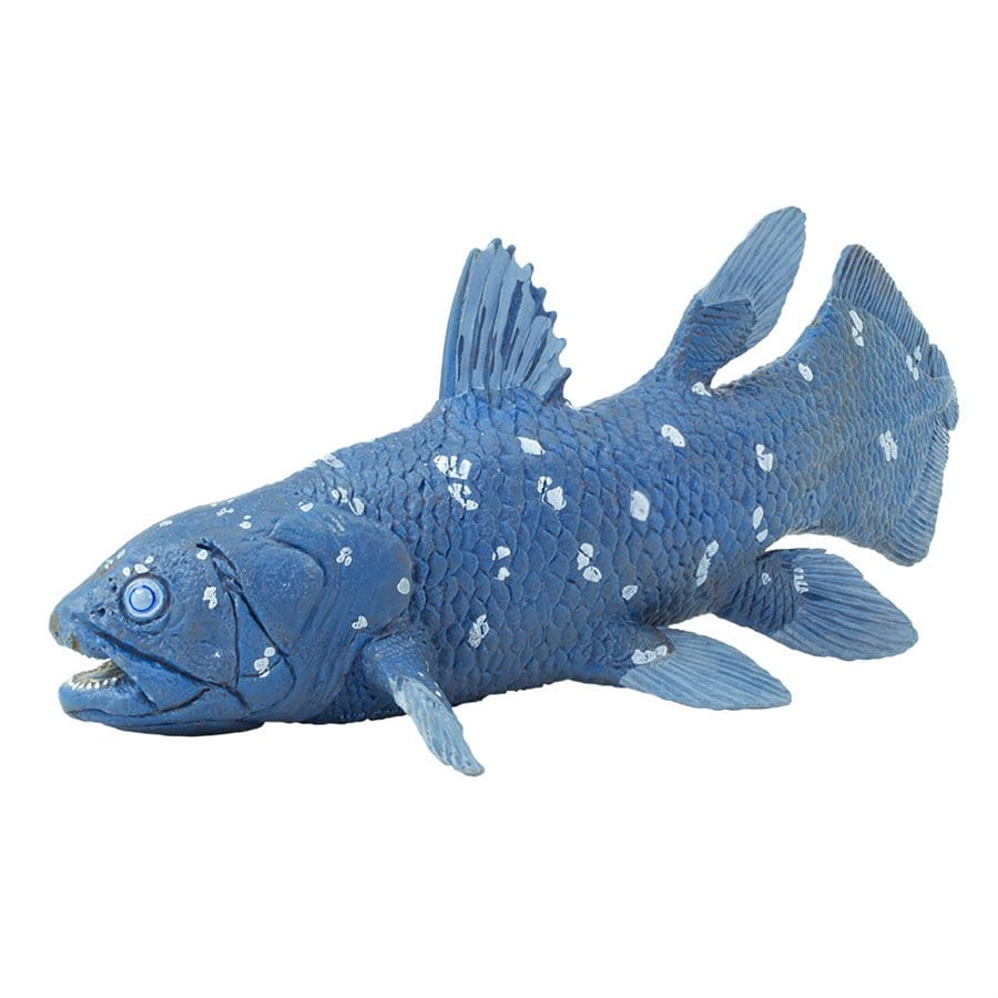Coelacanth Toy - Ancient Marine Fish Plush