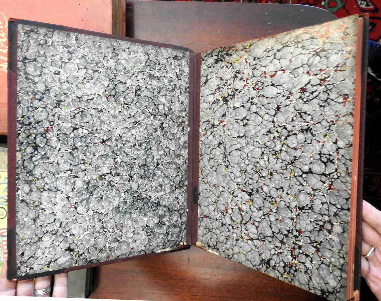 Cayuga County Auburn New York Finger Lakes 1890 Pictorial Rare Book