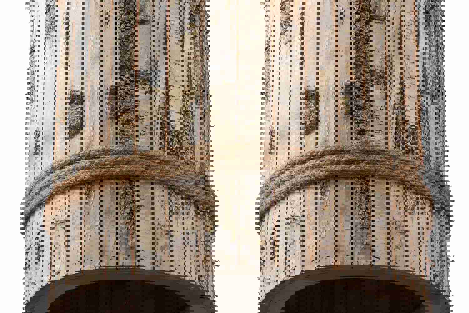 Woody 1-Lt Tall Pendant - White Aspen Bark