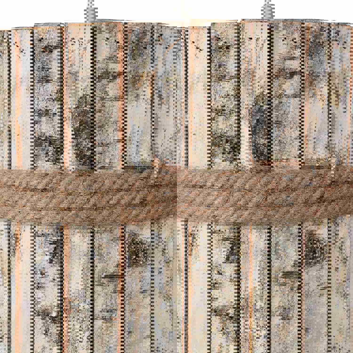 Woody 1-Lt Tall Pendant - White Aspen Bark