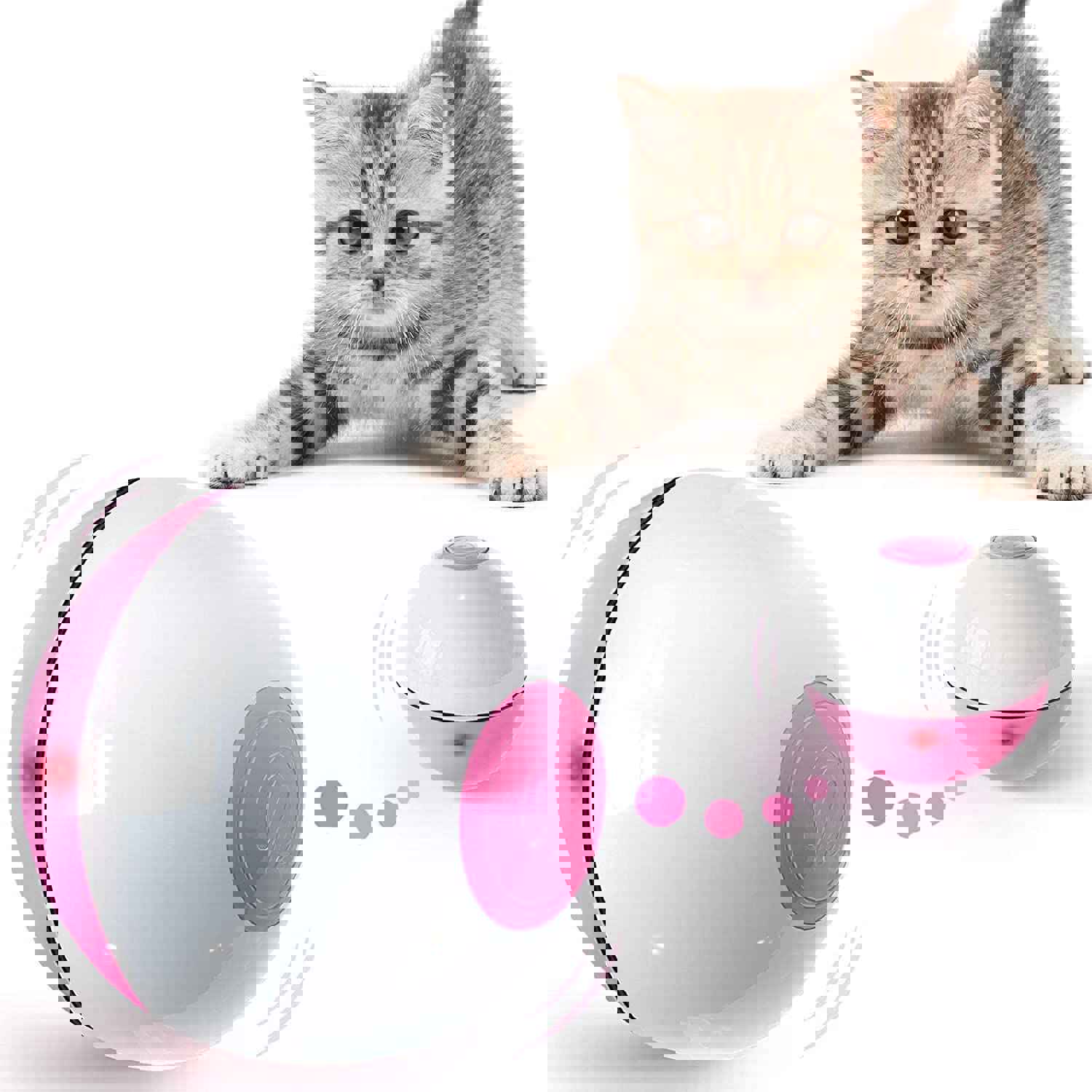 IOKHEIRA Interactive Cat Toys Ball (3rd Gen) Wicked Ball for Indoor Cats