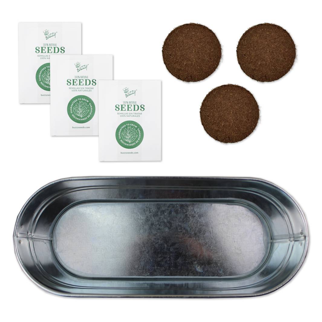 Kitchen Herbs Windowsill Grow Kit - Start Your Own Herb Garden