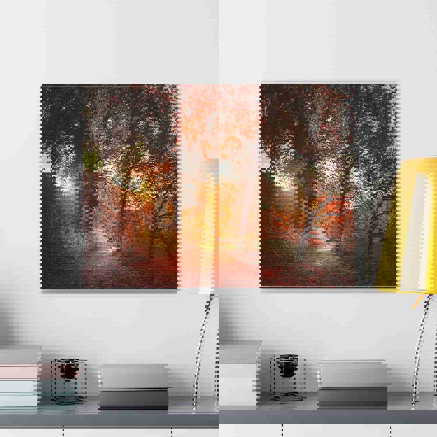 Autumn Park Orange Tree Nature Wilderness Photography Canvas Wall Art for Home Decor