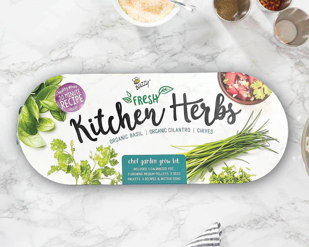 Kitchen Herbs Windowsill Grow Kit - Start Your Own Herb Garden