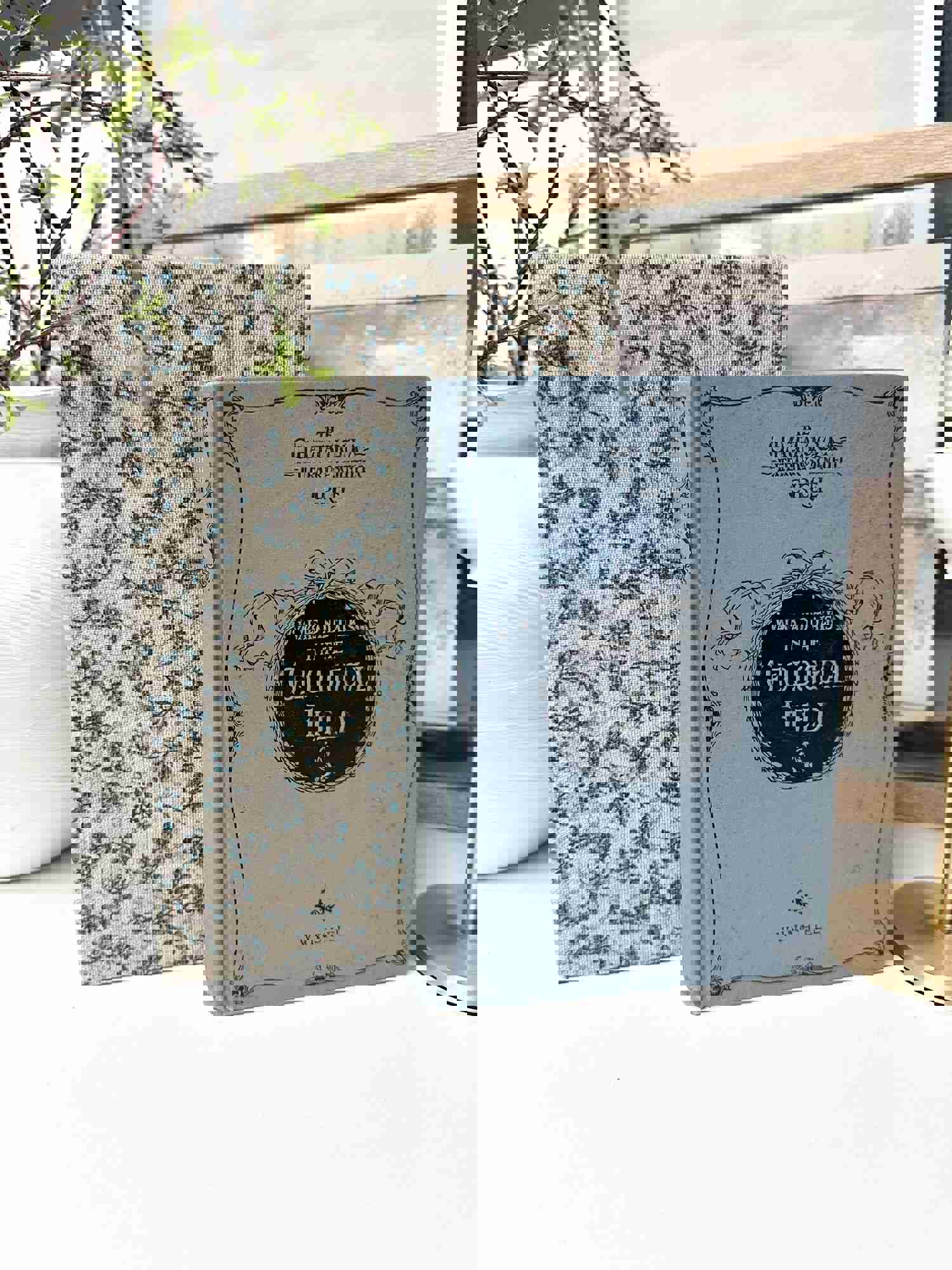 Blue Vintage Inspired Book Set for Home Decor