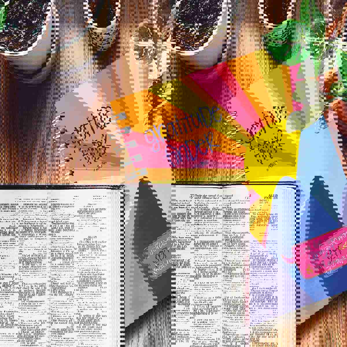 Bulk Gratitude Finder® Journals by Christina - Faith-Based Gratitude Journals for Groups