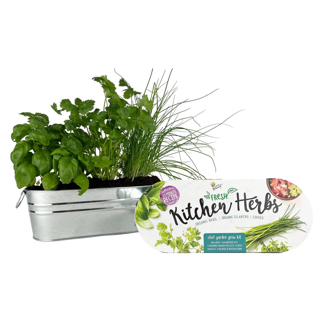 Kitchen Herbs Windowsill Grow Kit - Start Your Own Herb Garden