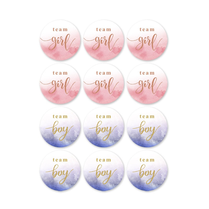 60/120 Pieces Team Boy Team Girl Baby Shower Stickers for Gender Reveal Party Decorations