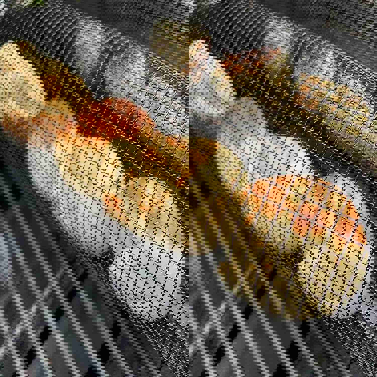 Rolling Grilling Basket - Portable Stainless Steel BBQ Net for Outdoor Camping & Kitchen Use