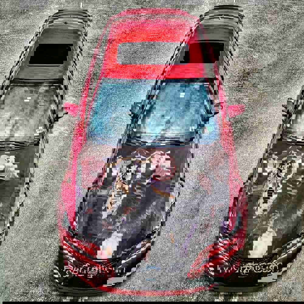 Ainz Ooal Gown Overlord Itasha Car Vinyl Hood Wrap Decal Sticker