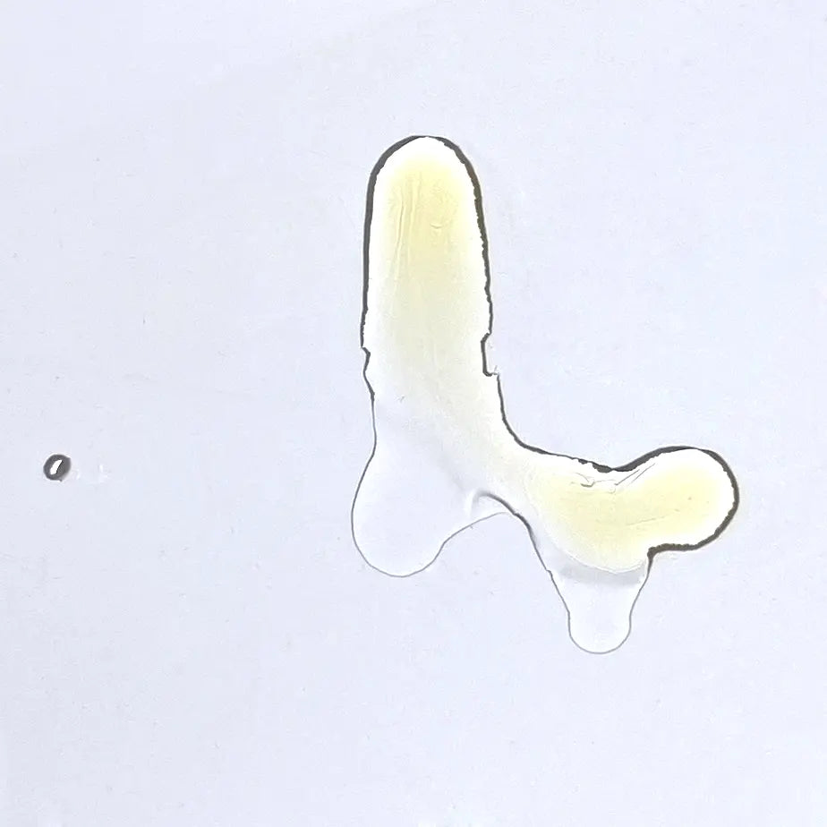 Bakuchiol Skincare Set - Serum & Night Cream