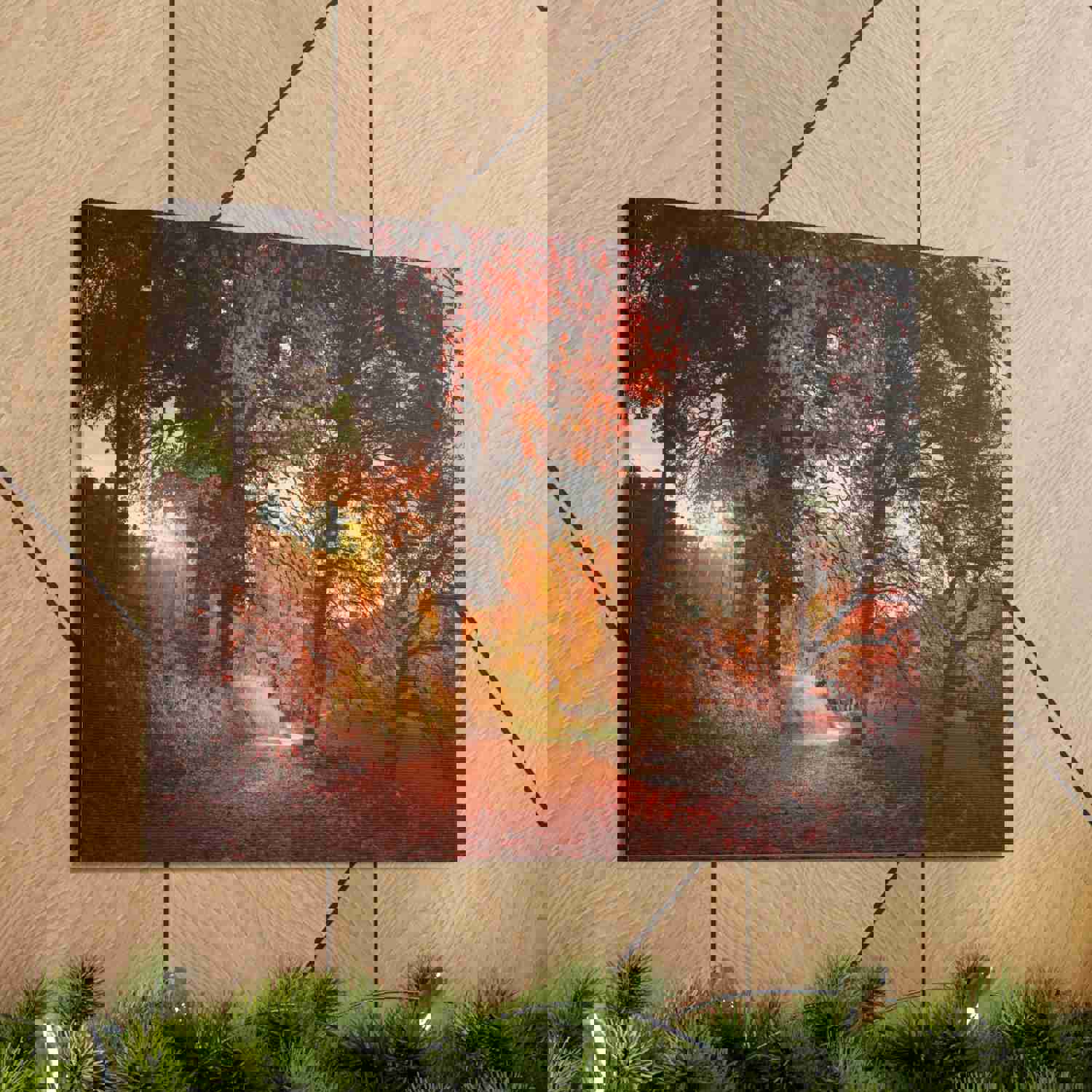 Autumn Park Orange Tree Nature Wilderness Photography Canvas Wall Art for Home Decor