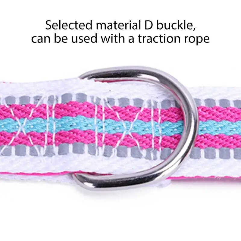 Adjustable Small Dog Collar with Safety Buckle and Reflective Stripes