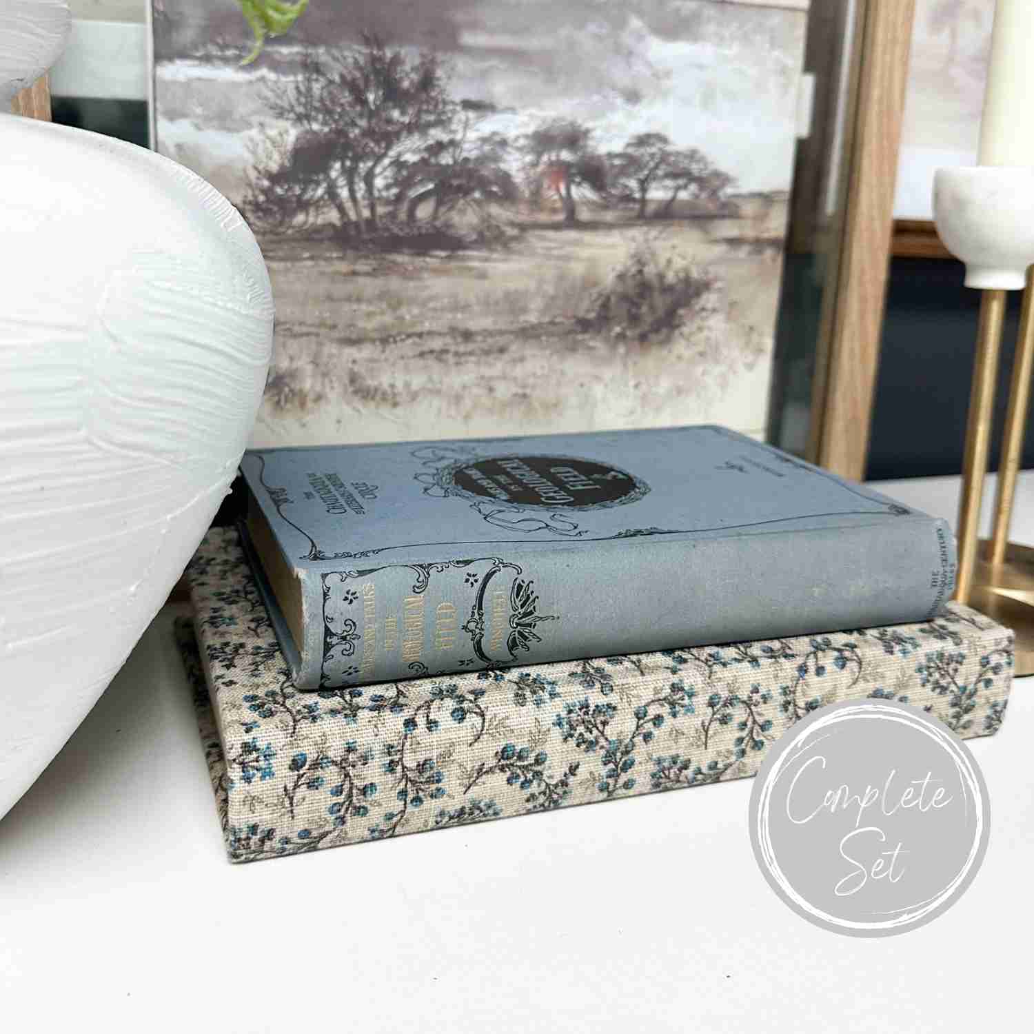 Blue Vintage Inspired Book Set for Home Decor
