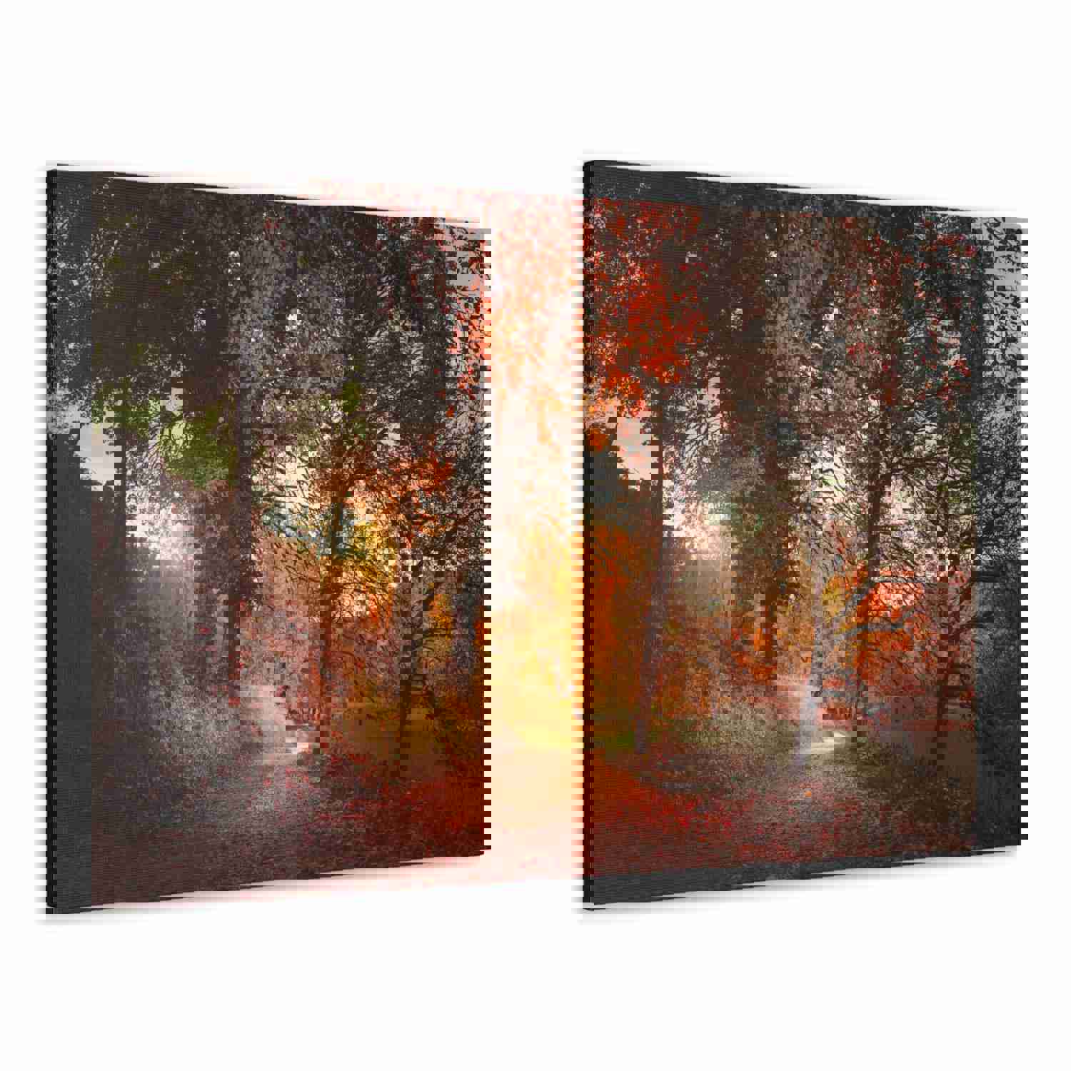 Autumn Park Orange Tree Nature Wilderness Photography Canvas Wall Art for Home Decor