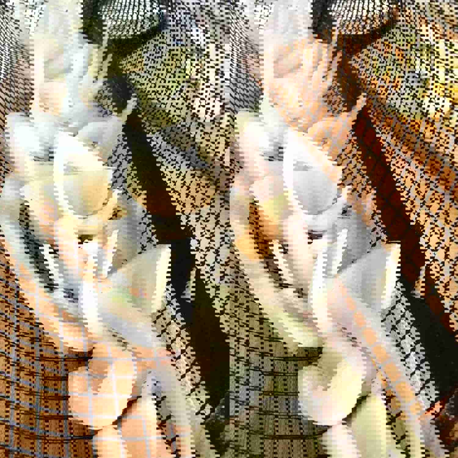 Rolling Grilling Basket - Portable Stainless Steel BBQ Net for Outdoor Camping & Kitchen Use