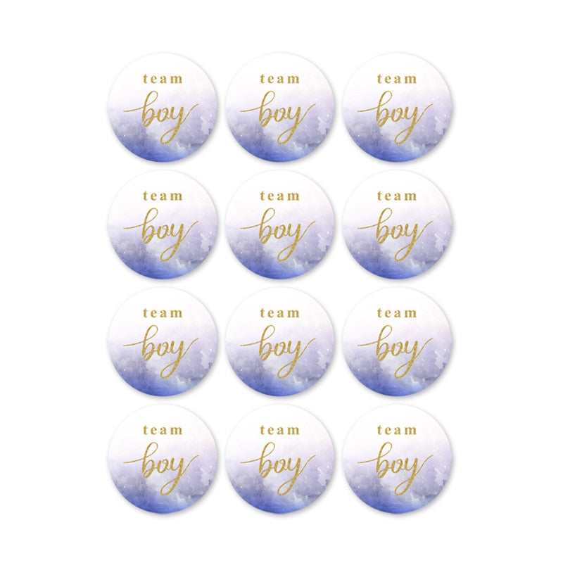 60/120 Pieces Team Boy Team Girl Baby Shower Stickers for Gender Reveal Party Decorations