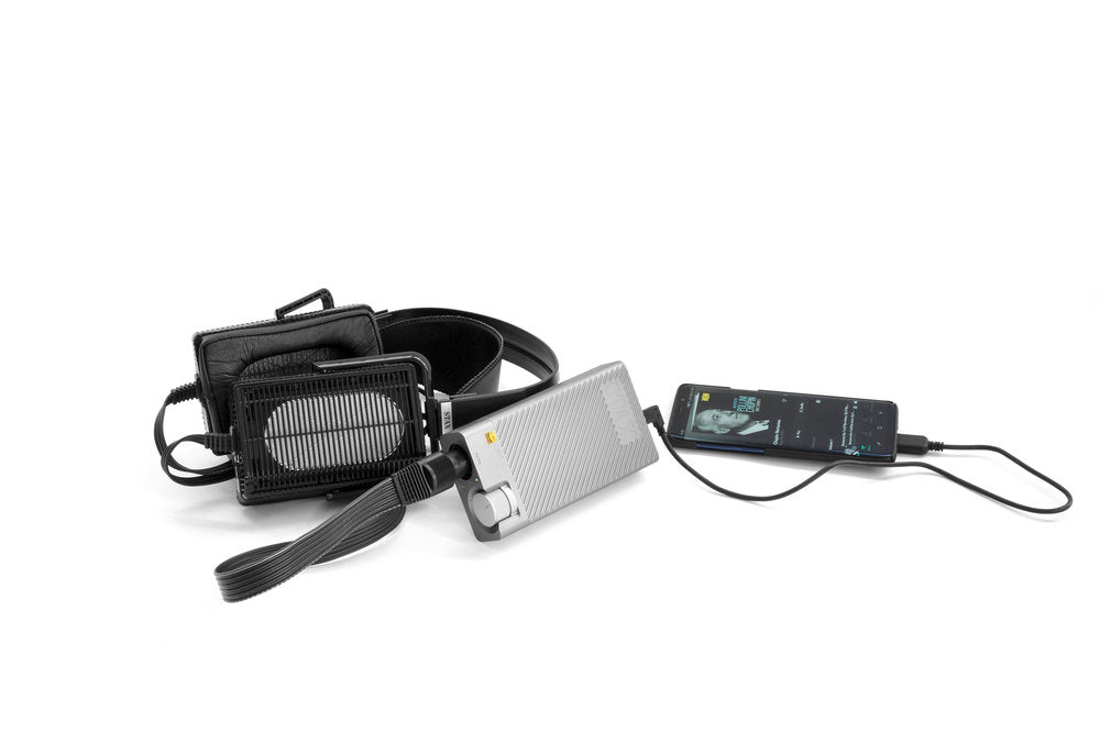 Stax SRM-D10 Portable Electrostatic Headphone Amplifier/DAC