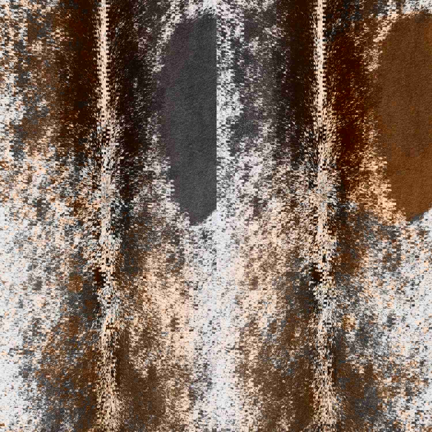 demo