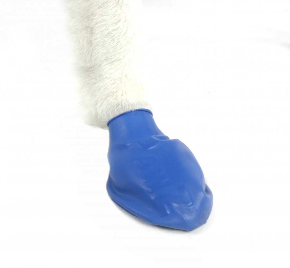 Pawz Waterproof Dog Boots - Disposable & Reusable Paw Protection