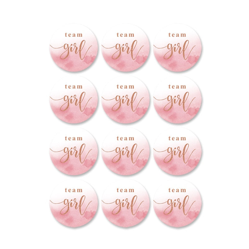 60/120 Pieces Team Boy Team Girl Baby Shower Stickers for Gender Reveal Party Decorations