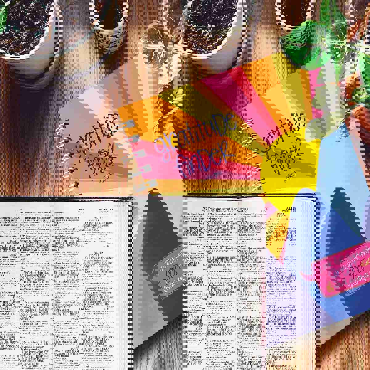 Faith-Based Gratitude Finder® Journals by Christina | Mercies New