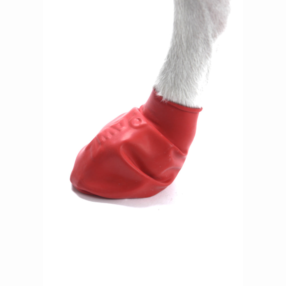 Pawz Waterproof Dog Boots - Disposable & Reusable Paw Protection