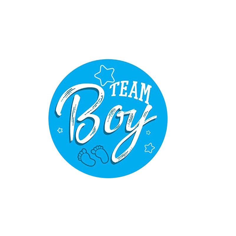 60/120 Pieces Team Boy Team Girl Baby Shower Stickers for Gender Reveal Party Decorations