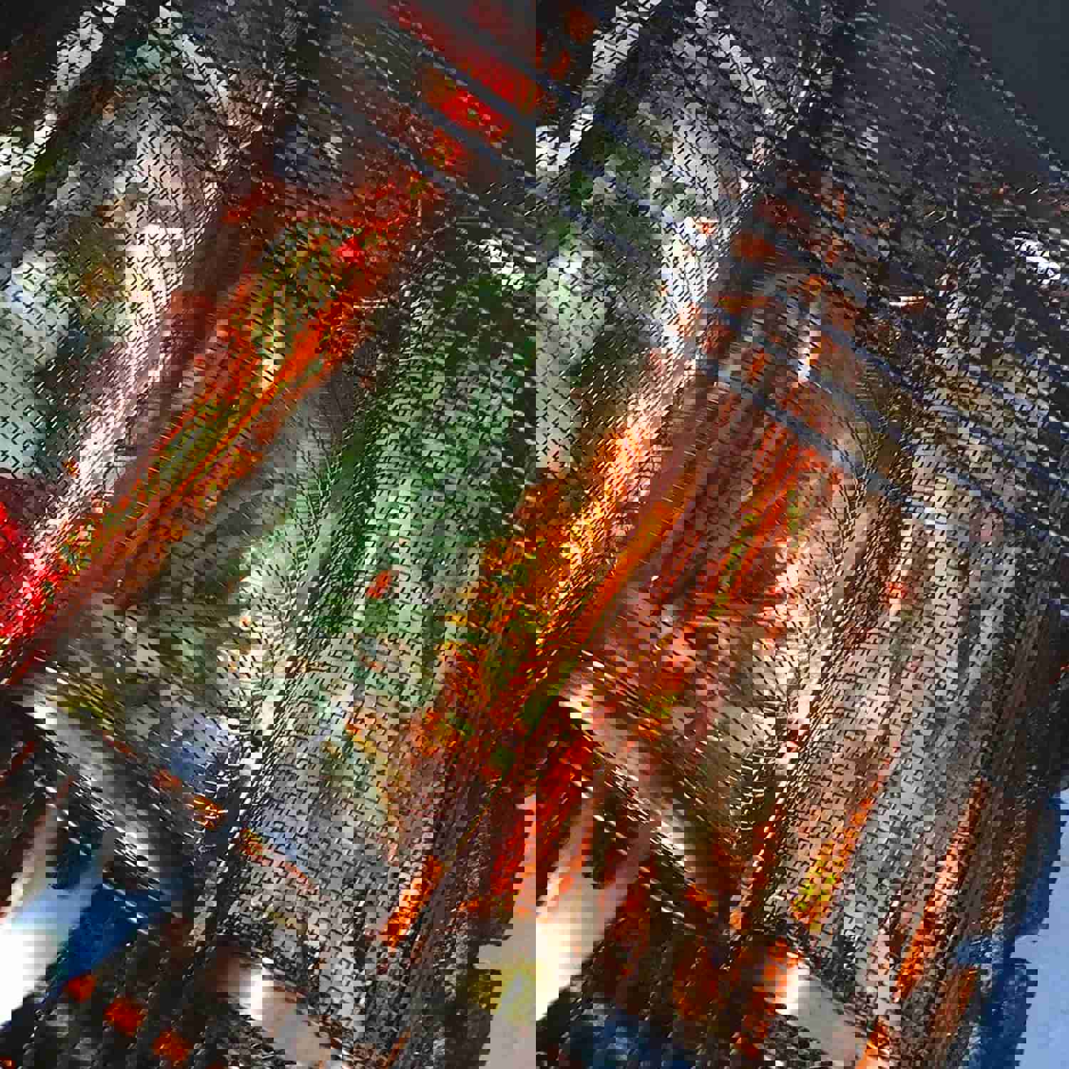 Rolling Grilling Basket - Portable Stainless Steel BBQ Net for Outdoor Camping & Kitchen Use