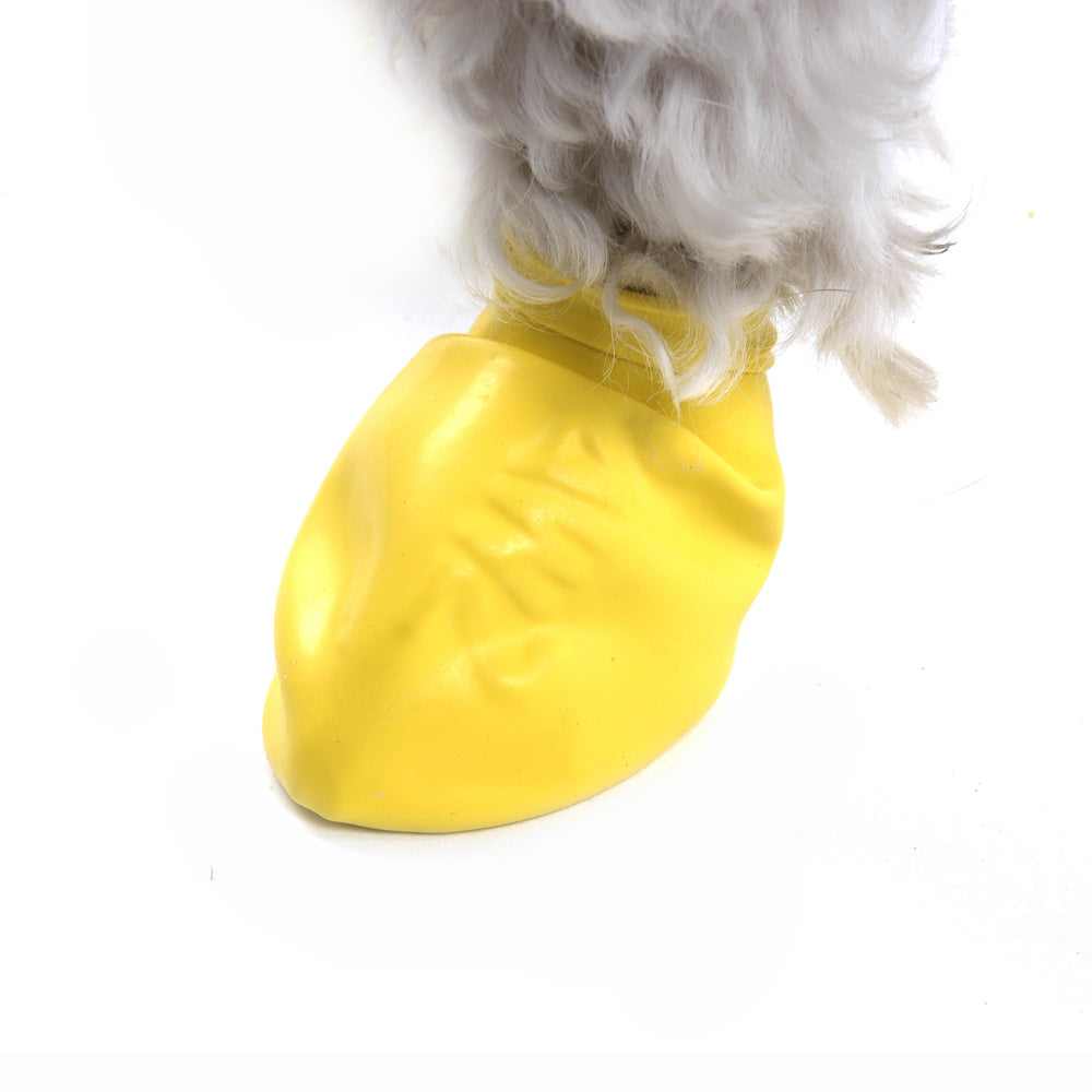 Pawz Waterproof Dog Boots - Disposable & Reusable Paw Protection