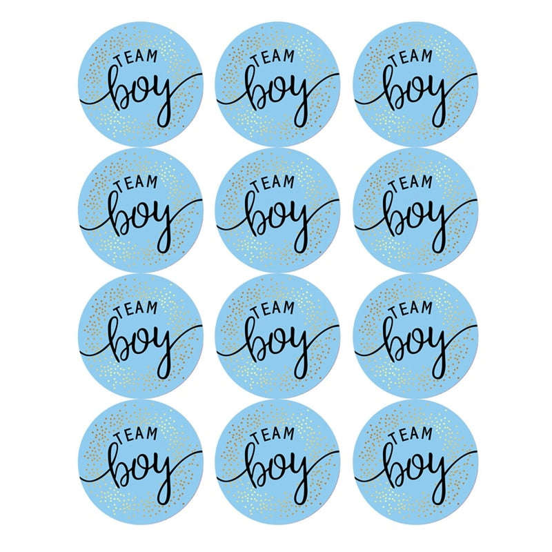 60/120 Pieces Team Boy Team Girl Baby Shower Stickers for Gender Reveal Party Decorations