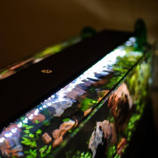 Satellite Freshwater LED Plus Pro with Wireless 24 Hr. Control 36 inch Aquarium Light