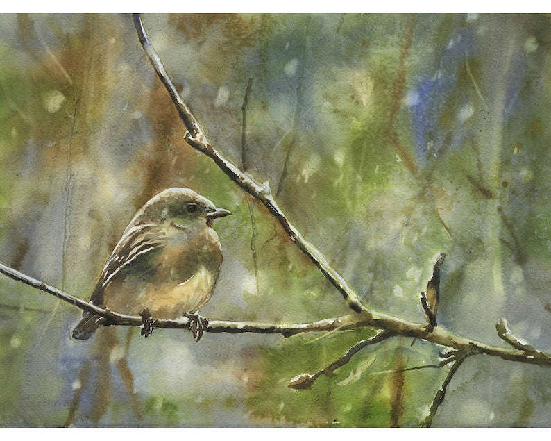 Original Bird Landscape Watercolor Painting - Hand Signed Artwork