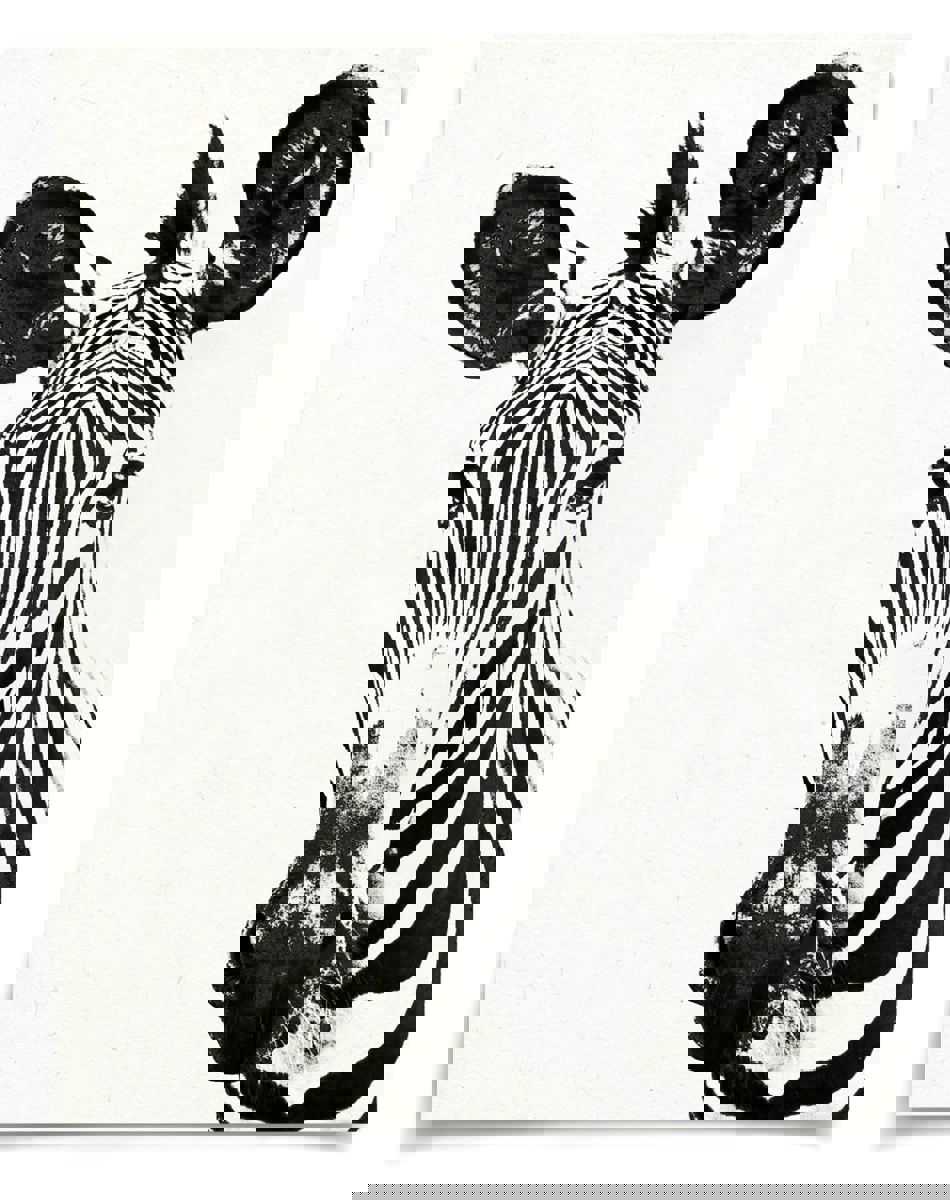 Natural Curiosities Tylinek Zebra Art - High Contrast Wildlife Print