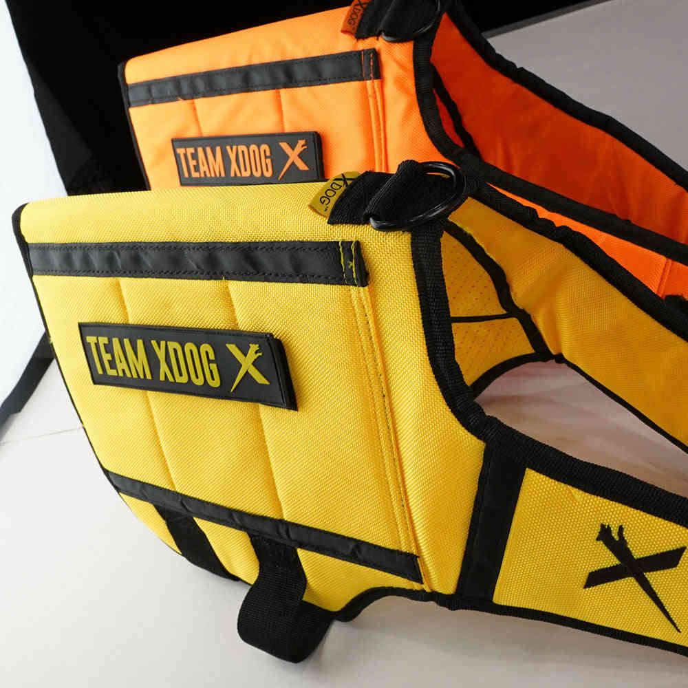 XDOG™️ Weight & Fitness Vest 2.0 for Dogs - Enhanced Health Harness (Closeout Sale)