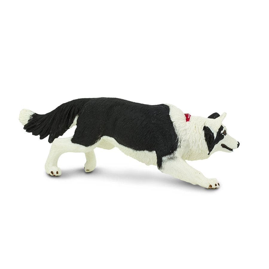Border Collie Toy - Black and White with Red Accent